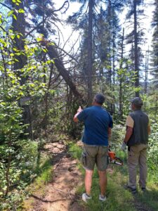 Leave a trail untouched for a while, and it can quickly disappear beneath new growth, fallen trees and thick vegetation.
