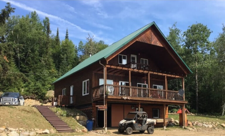 Forfaits de chasse au gros gibier à l'ours noir — Pourvoirie Rudy – Pourvoirie Rudy